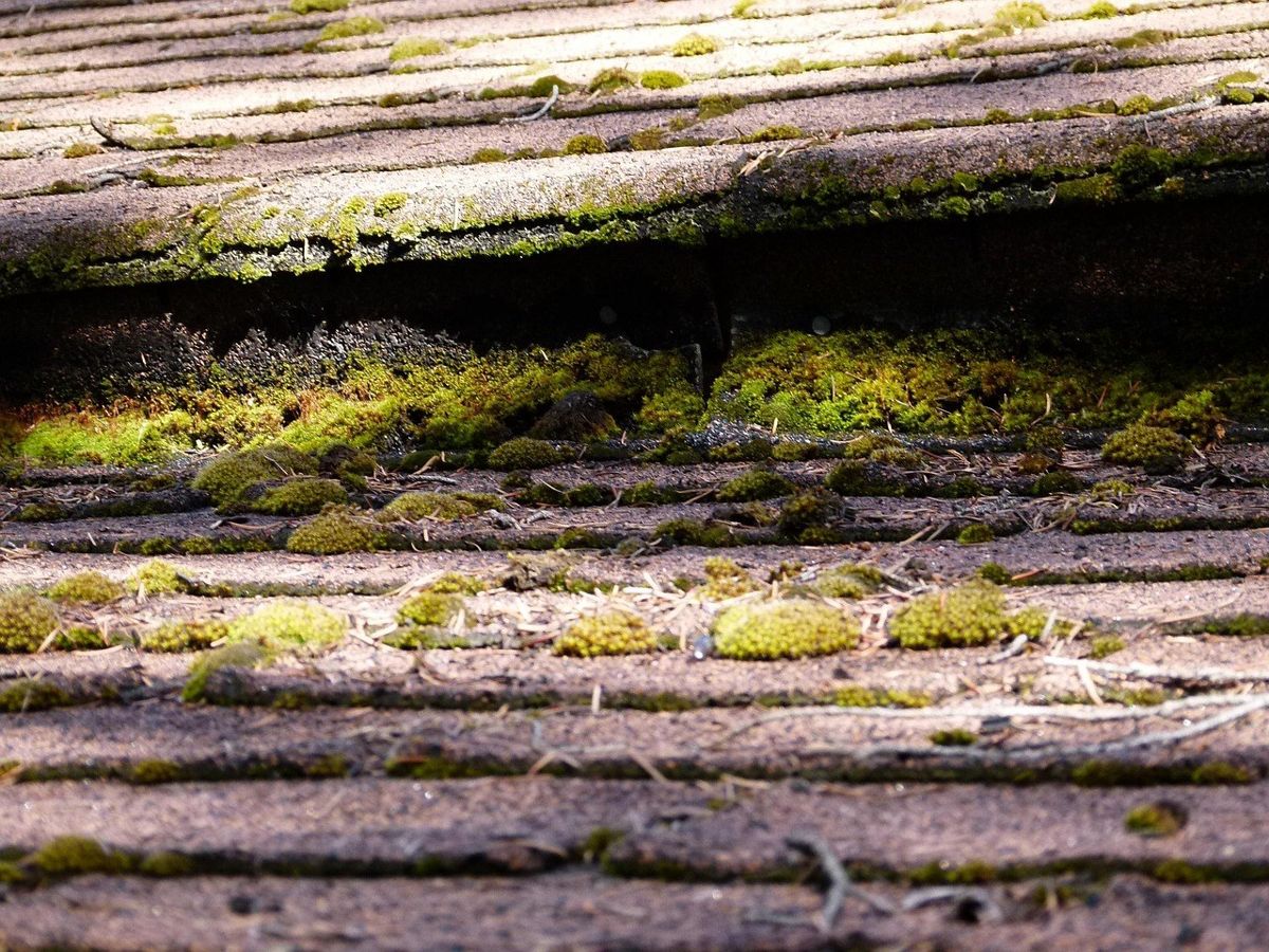 Roof covering (illustrative stock photo)